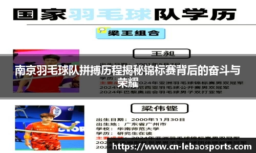 南京羽毛球队拼搏历程揭秘锦标赛背后的奋斗与荣耀