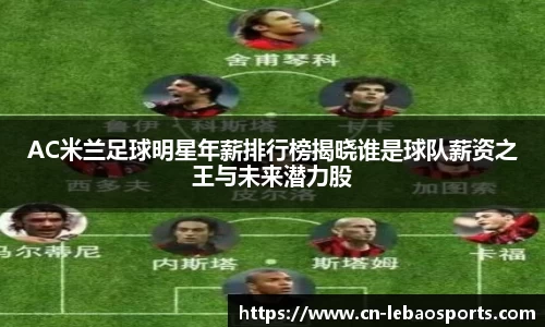 AC米兰足球明星年薪排行榜揭晓谁是球队薪资之王与未来潜力股