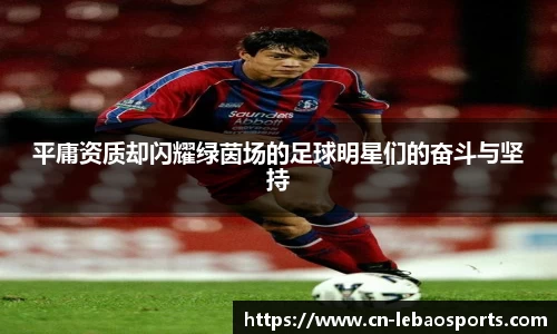 平庸资质却闪耀绿茵场的足球明星们的奋斗与坚持