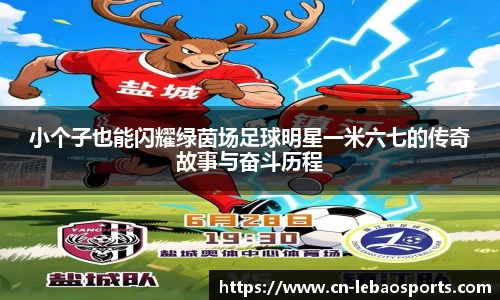 小个子也能闪耀绿茵场足球明星一米六七的传奇故事与奋斗历程
